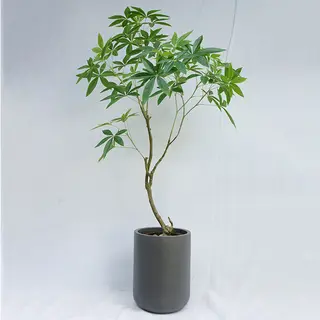 Artificial Pachira Aquatica 150 CM